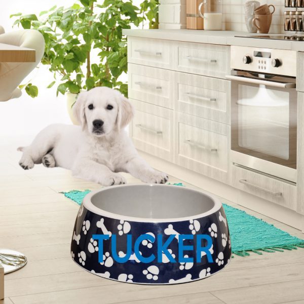 Dog Food Bowl