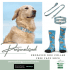 Engraved Dog Collar FREE Face Sock
